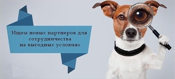 Ищем новых партнеров